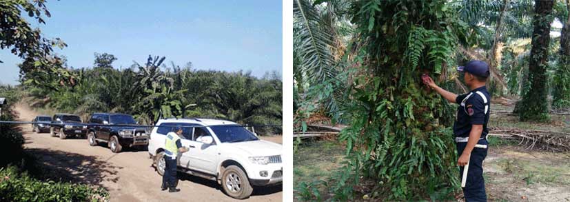 SAGAS security guard checking vehicles at a plantation access point and a SAGAS guard using a patrol checkpoint device in the estate
